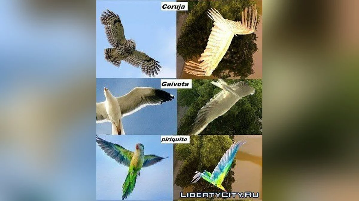 The Birds Update (Pssaros HD) / GTA San Andreas