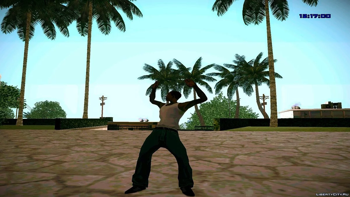 Animation MOD by xXx2o1o 3.0 / GTA San Andreas