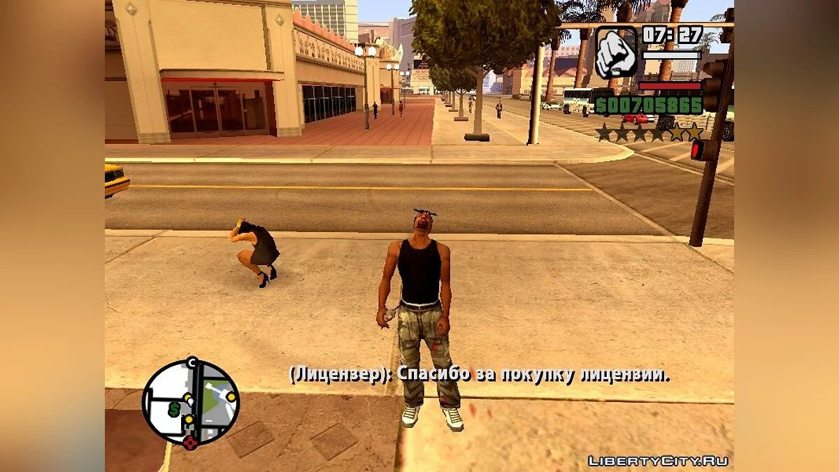 Лицензия на использование оружия / GTA San Andreas