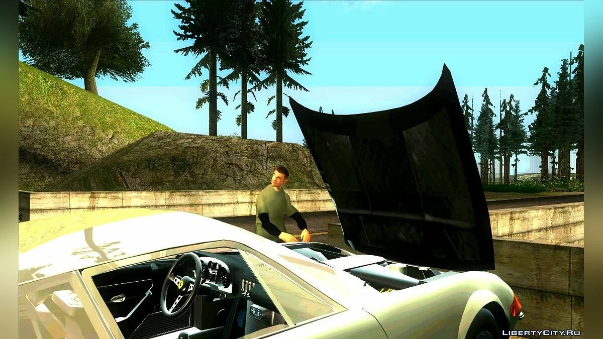 Жизненная ситуация v2.0 / GTA San Andreas