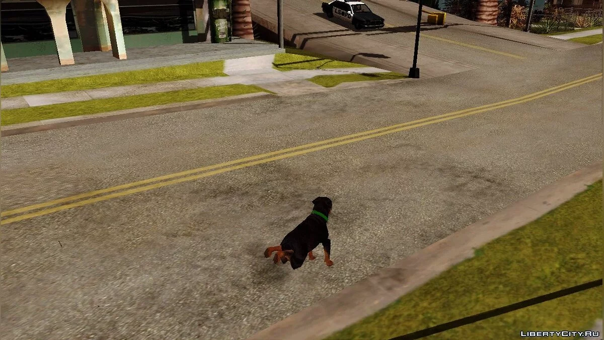 Возможность из GTA V играть за животных в GTA San Andreas / GTA San Andreas