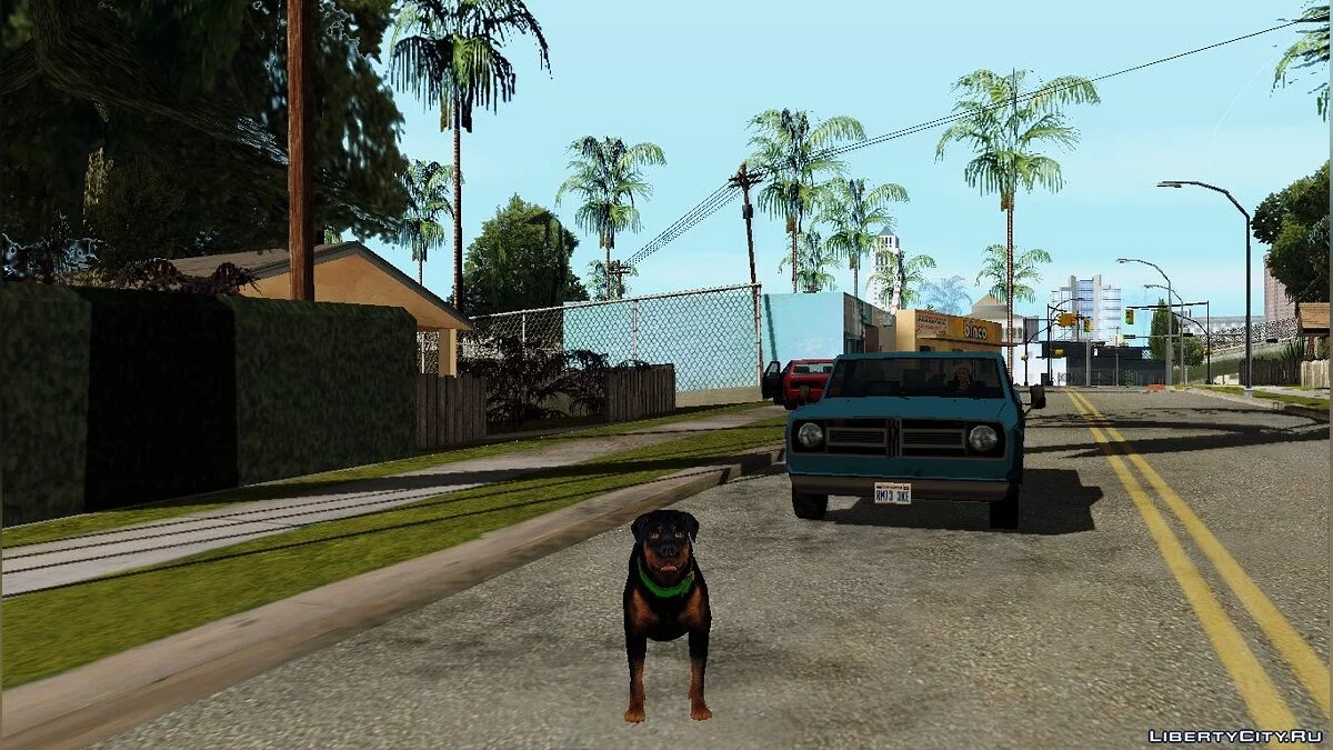 Возможность из GTA V играть за животных в GTA San Andreas / GTA San Andreas