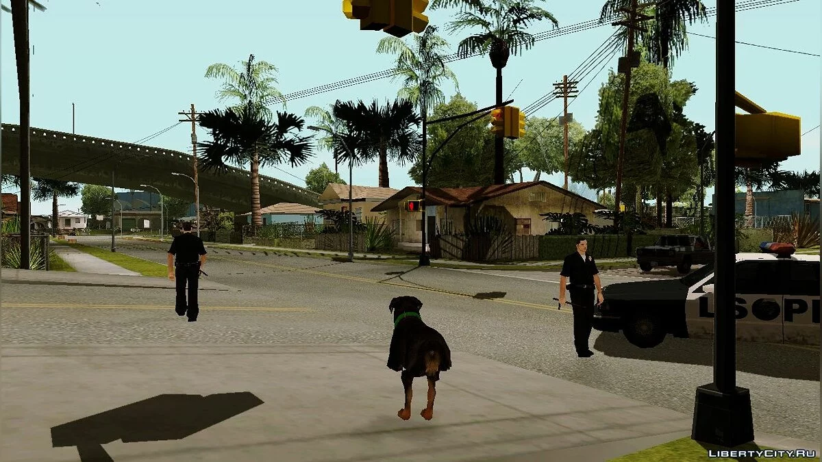 Возможность из GTA V играть за животных в GTA San Andreas / GTA San Andreas