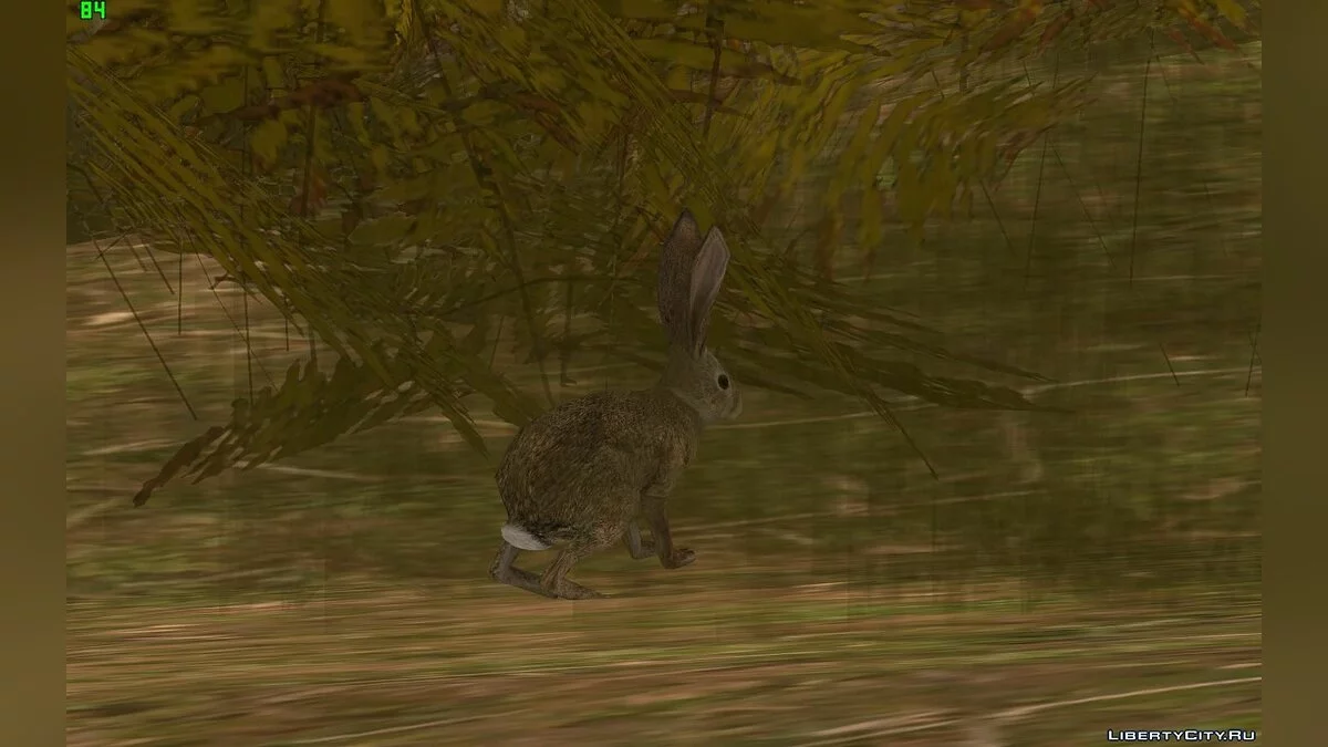 Rabbit mod / GTA San Andreas