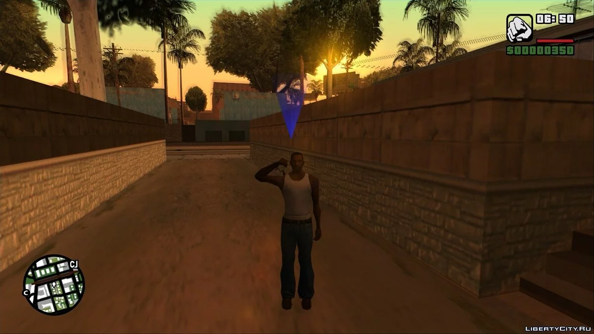 Отдать честь / GTA San Andreas