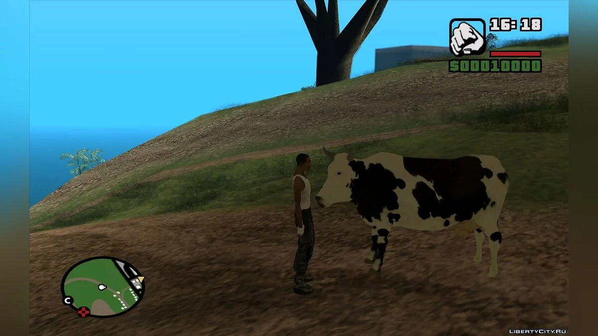 Возможность покататься на корове / GTA San Andreas