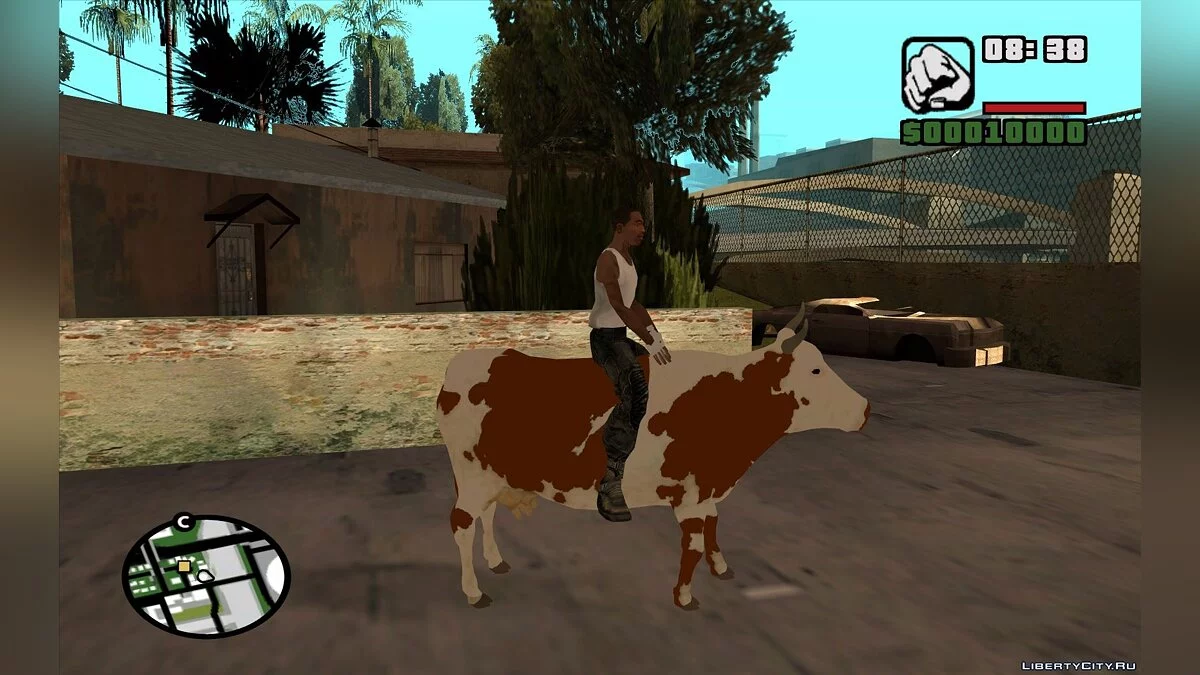 Возможность покататься на корове / GTA San Andreas