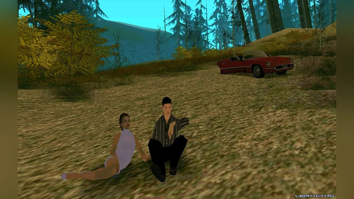 Life Situation 9.0 / GTA San Andreas