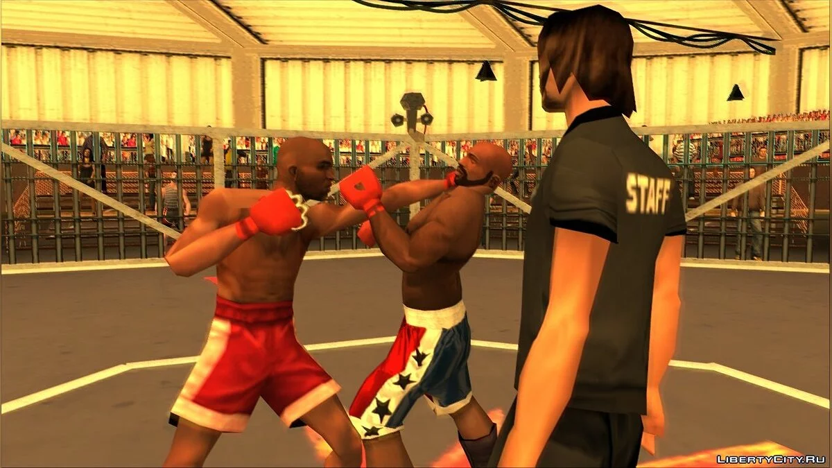 Fighters Gonna Fight / GTA San Andreas