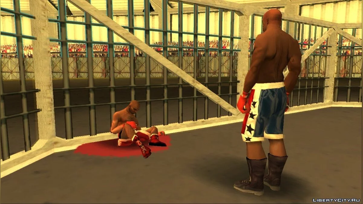 Fighters Gonna Fight / GTA San Andreas