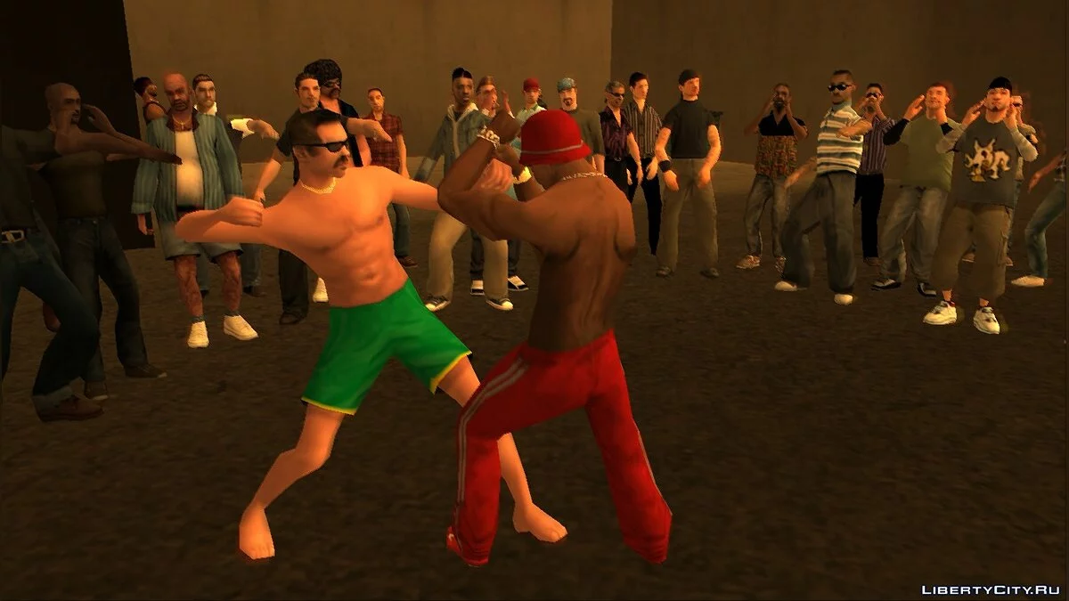 Fighters Gonna Fight / GTA San Andreas