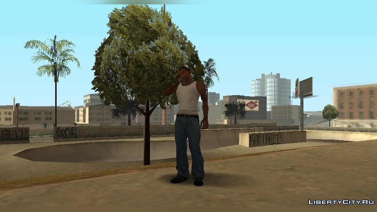 Скачать Миссия Ограбление для GTA San Andreas