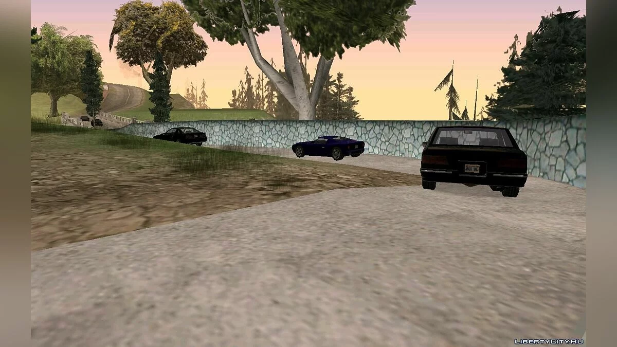 Вечеринка на дому / GTA San Andreas