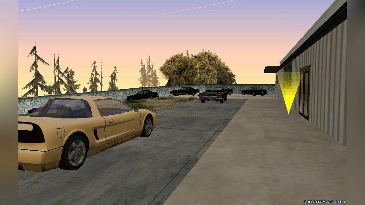 Вечеринка на дому / GTA San Andreas
