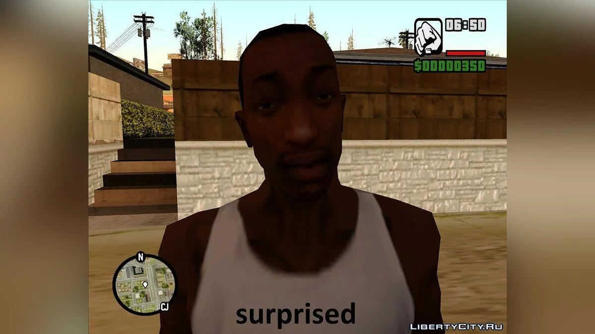 Мимика для CJ / GTA San Andreas