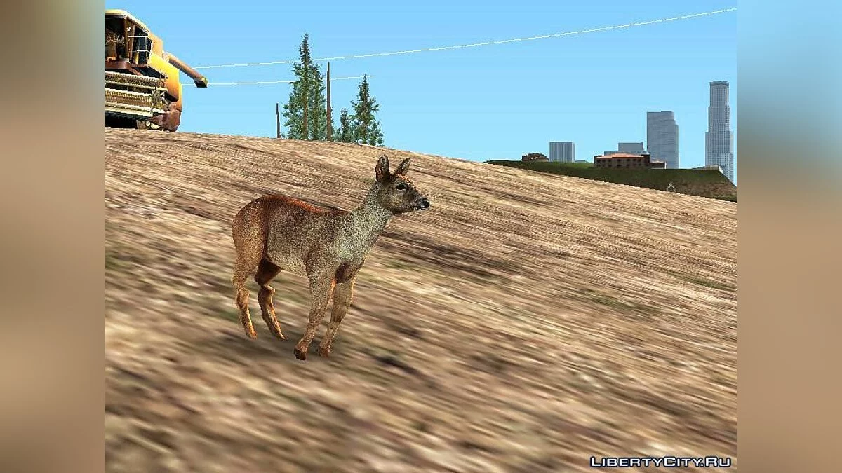 Олени в лесу / GTA San Andreas