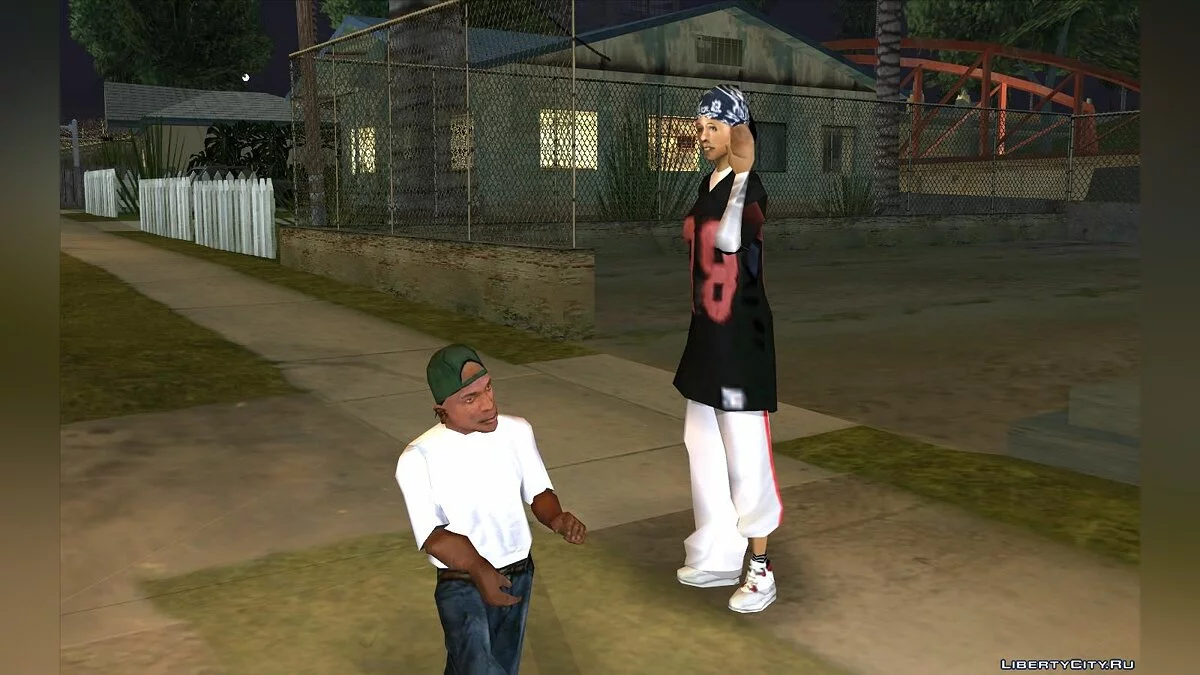 Сын Сиджея v2.0 / GTA San Andreas