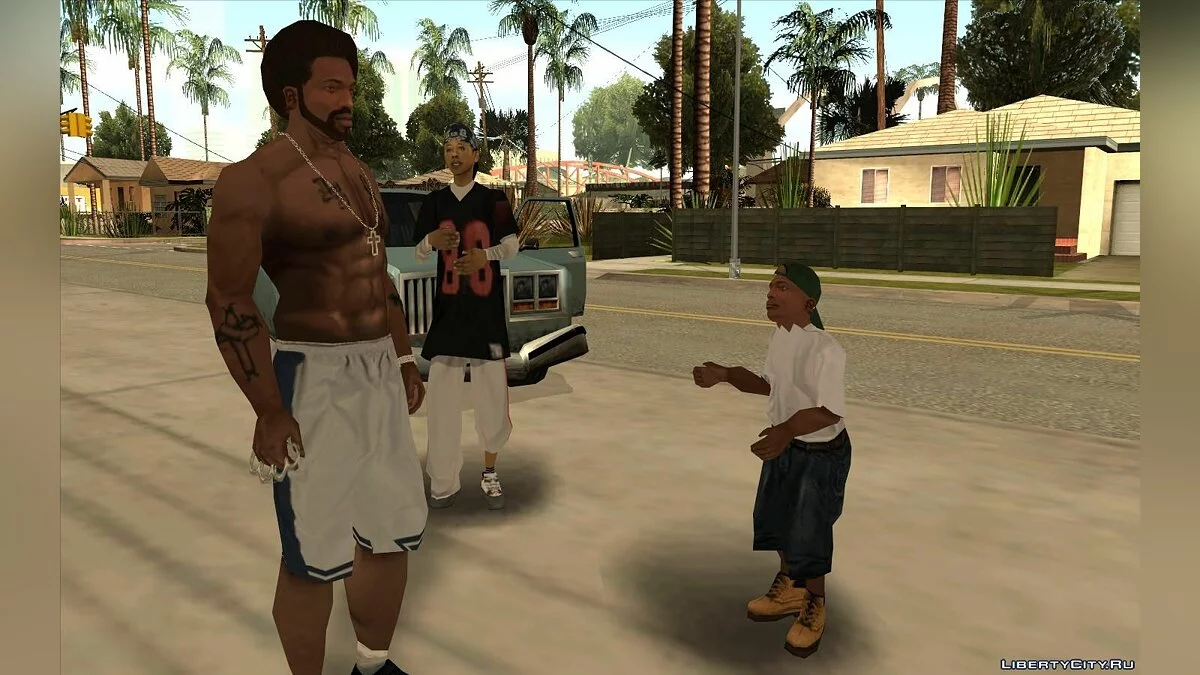 Сын Сиджея v2.0 / GTA San Andreas