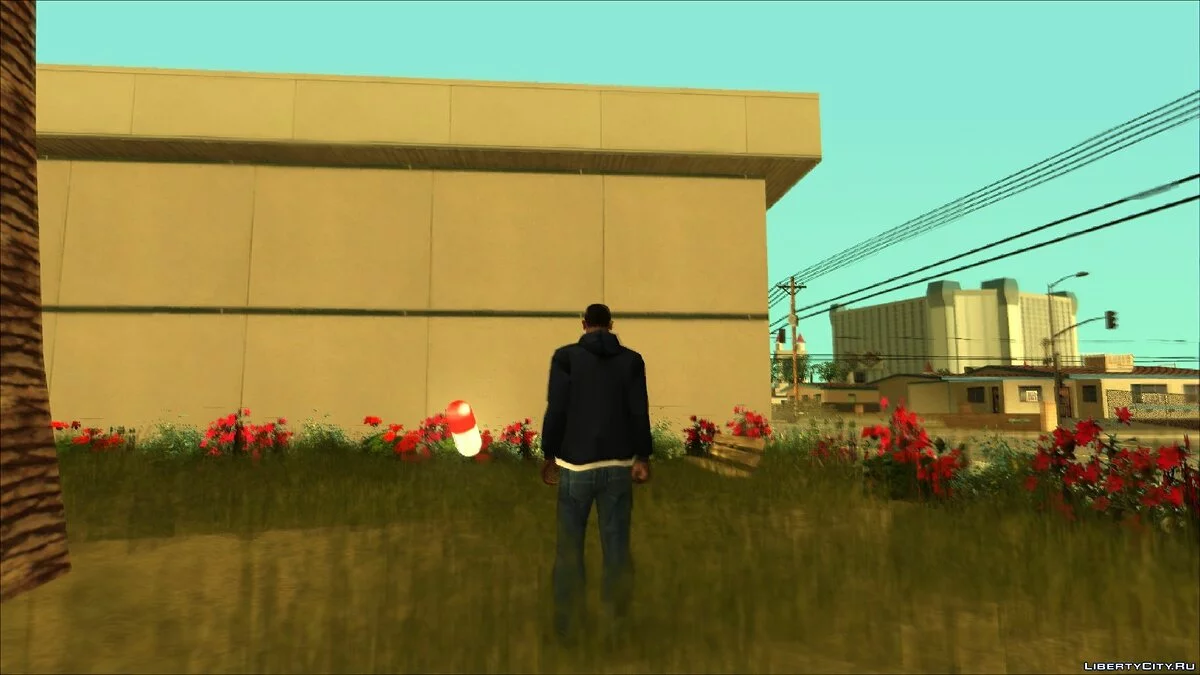 Hidden Adrenaline Pickup / GTA San Andreas