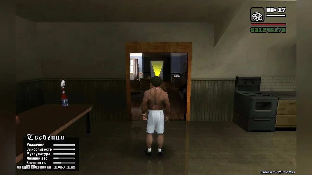 Показ дня и месяца / GTA San Andreas