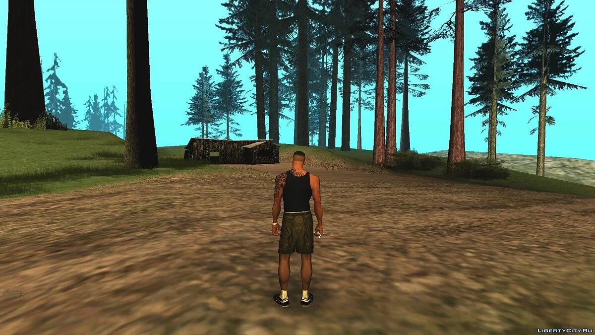 Призрак сгоревшего дома / GTA San Andreas