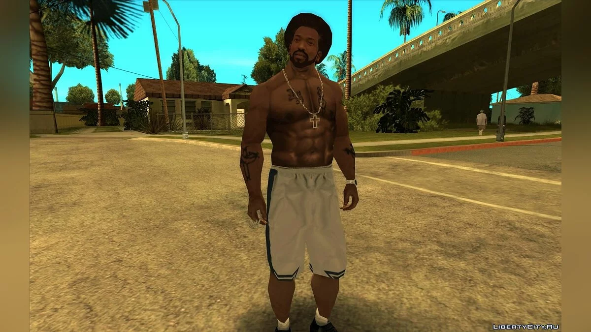 Карл поворачивает голову  / GTA San Andreas