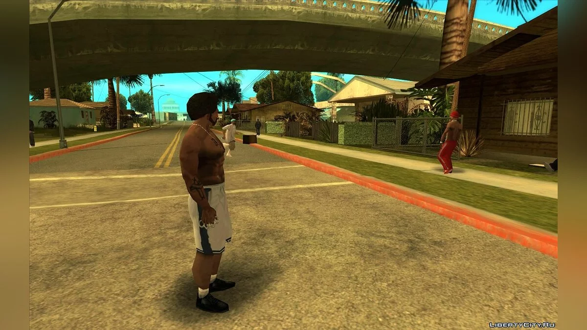 Карл поворачивает голову  / GTA San Andreas