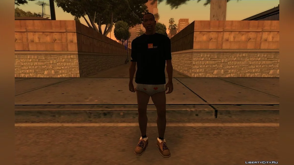 Переодеть Сиджея до начала сюжета / GTA San Andreas