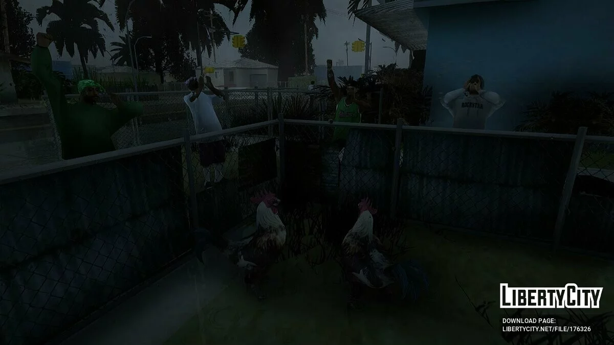Петушиные бои на Grove Street / GTA San Andreas