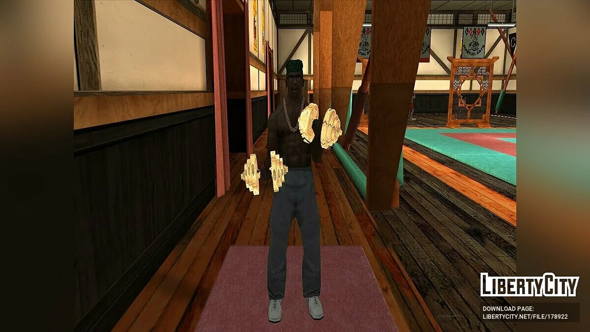 Advanced Body Features / GTA San Andreas