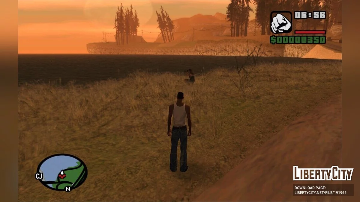 Suicidal Photographers Fix / GTA San Andreas