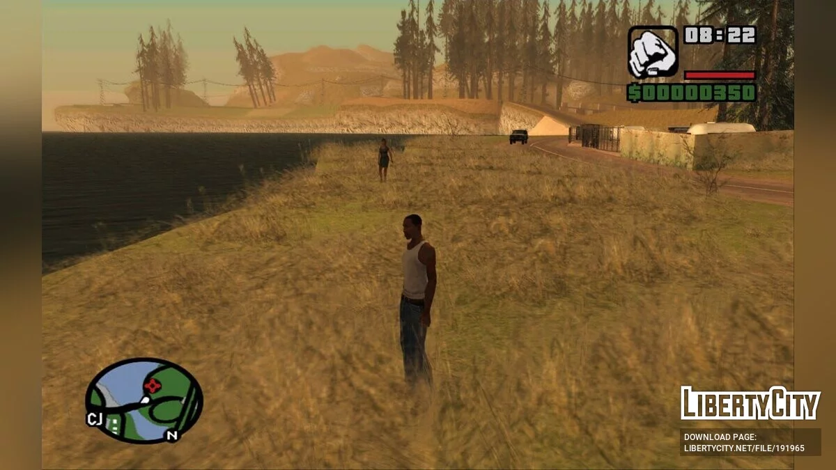 Suicidal Photographers Fix / GTA San Andreas