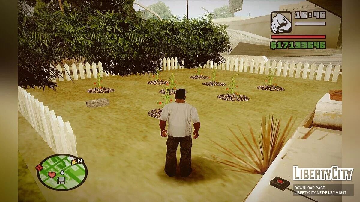 Выращивание овощей в любом месте / GTA San Andreas