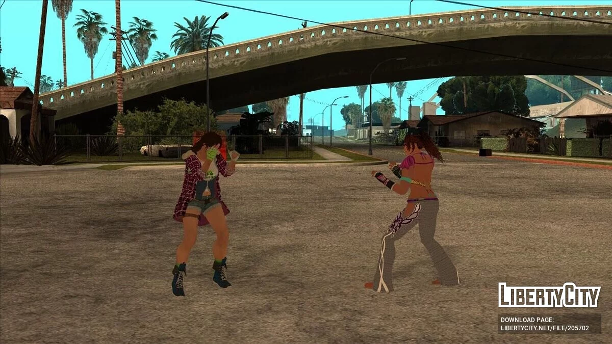 Большой пак скинов из файтинг игр / GTA San Andreas