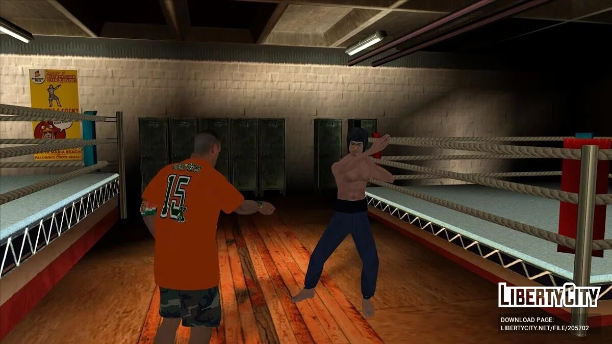 Большой пак скинов из файтинг игр / GTA San Andreas