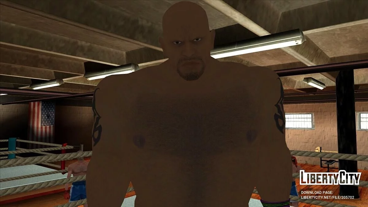 Большой пак скинов из файтинг игр / GTA San Andreas
