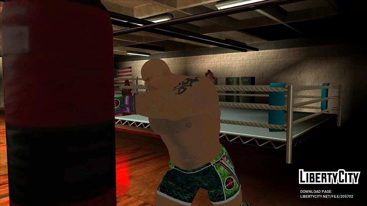 Большой пак скинов из файтинг игр / GTA San Andreas