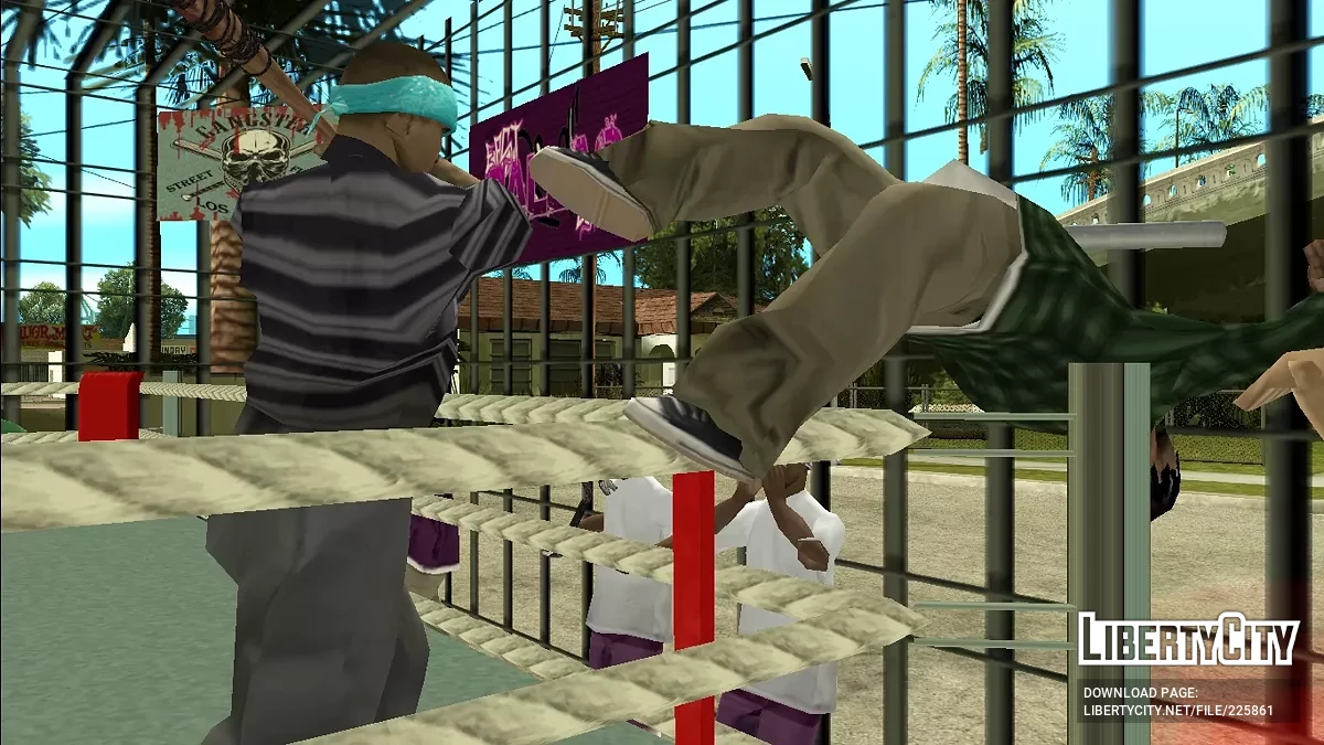 Боевой турнир / GTA San Andreas