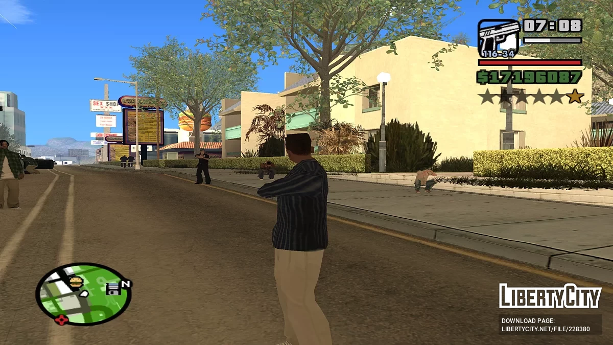 Запрет на ношение оружия / GTA San Andreas