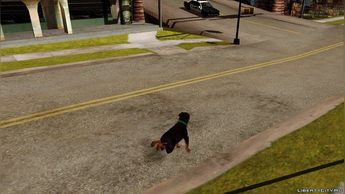 Возможность из GTA V играть за животных в GTA San Andreas для GTA San Andreas - Картинка #13