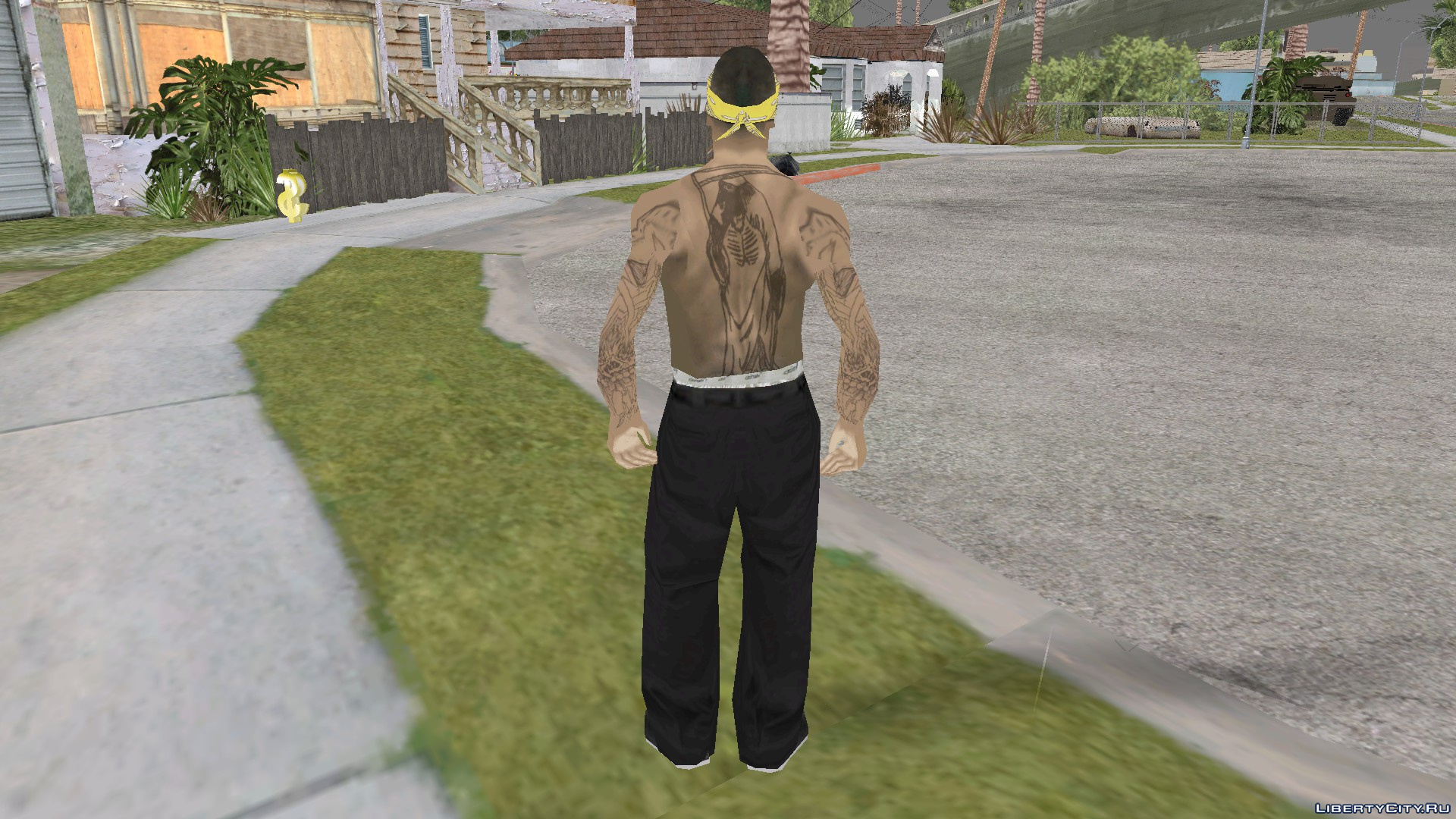 Пак замена всех скинов в gta san andreas