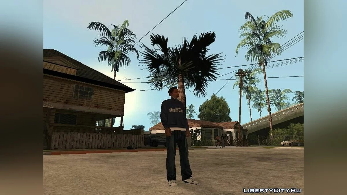 Одежда Madd Dogg`а / GTA San Andreas