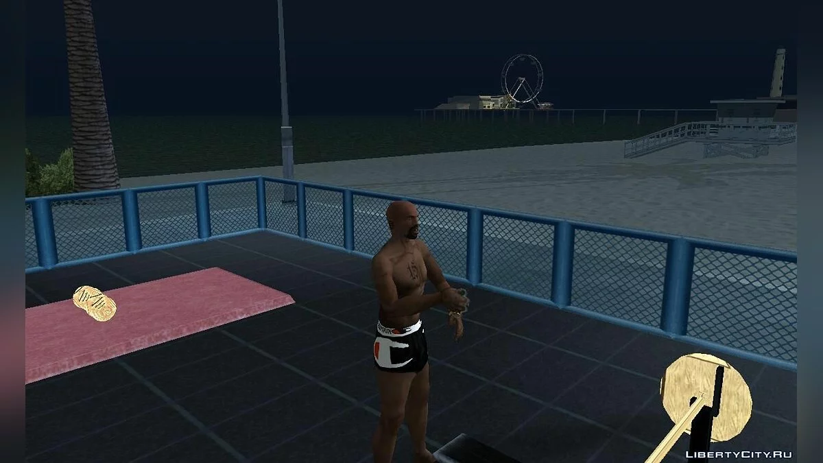 Одежда Champion / GTA San Andreas