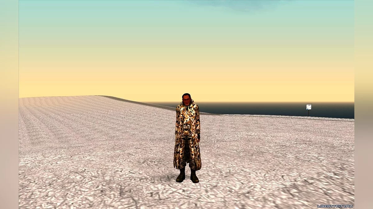 Сборник зимних скинов из S.T.A.L.K.E.R. / GTA San Andreas