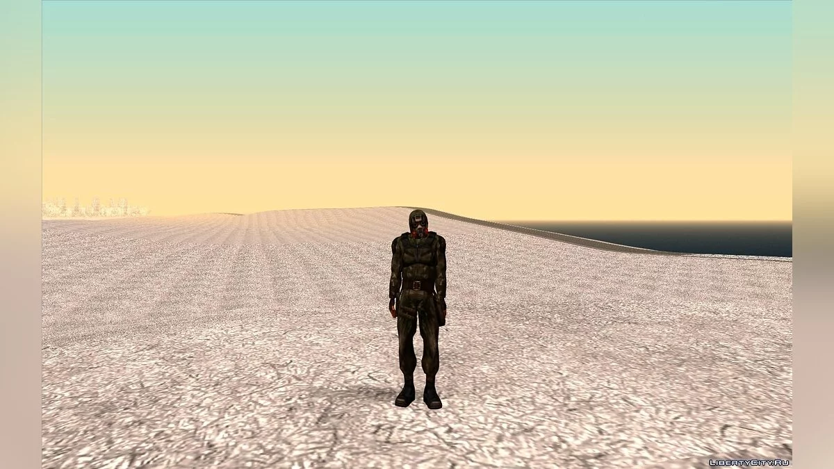 Сборник зимних скинов из S.T.A.L.K.E.R. / GTA San Andreas