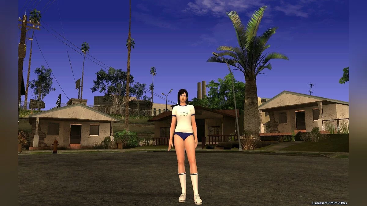 Kokoro Gym Pack / GTA San Andreas