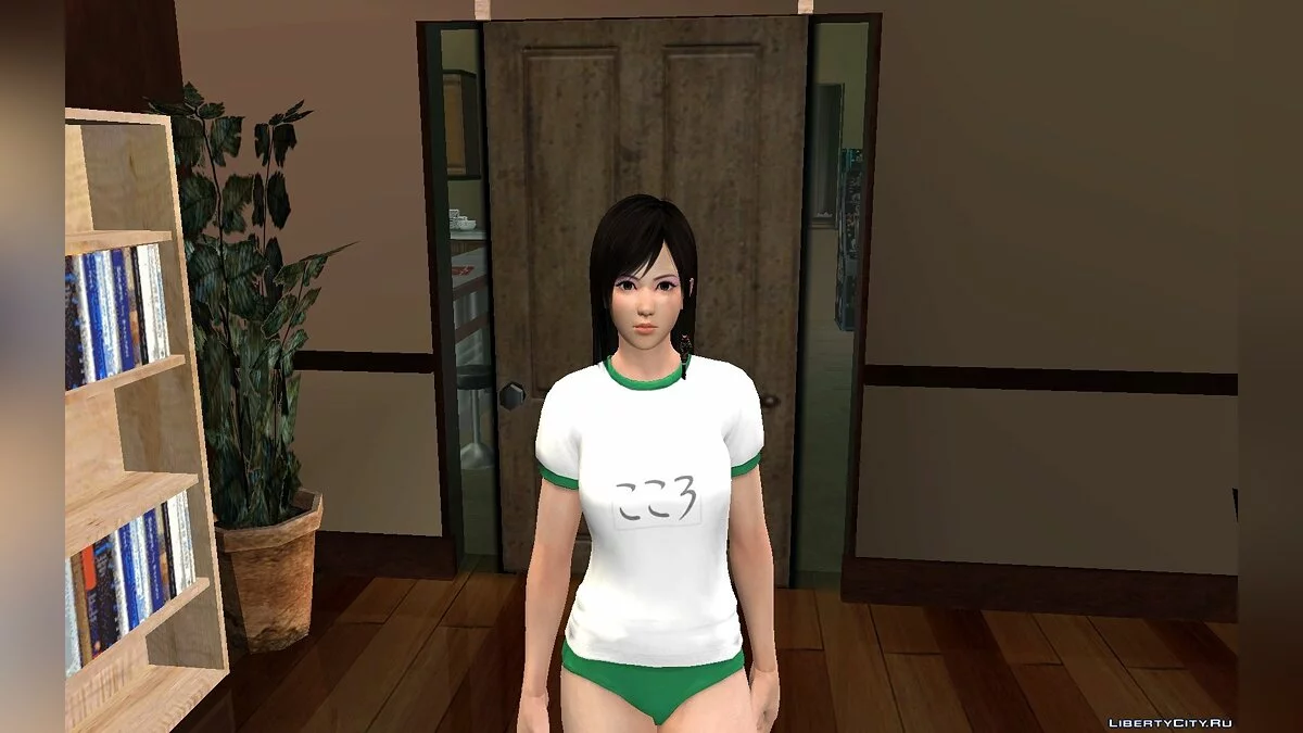 Kokoro Gym Pack / GTA San Andreas