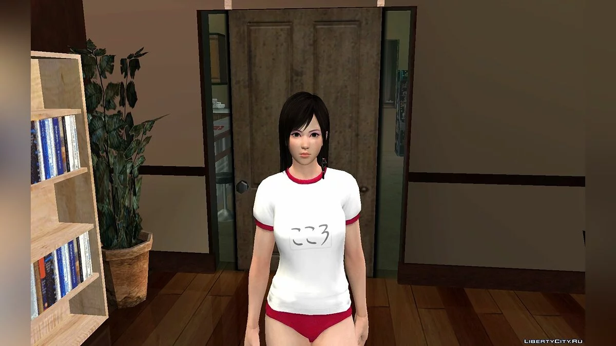 Kokoro Gym Pack / GTA San Andreas