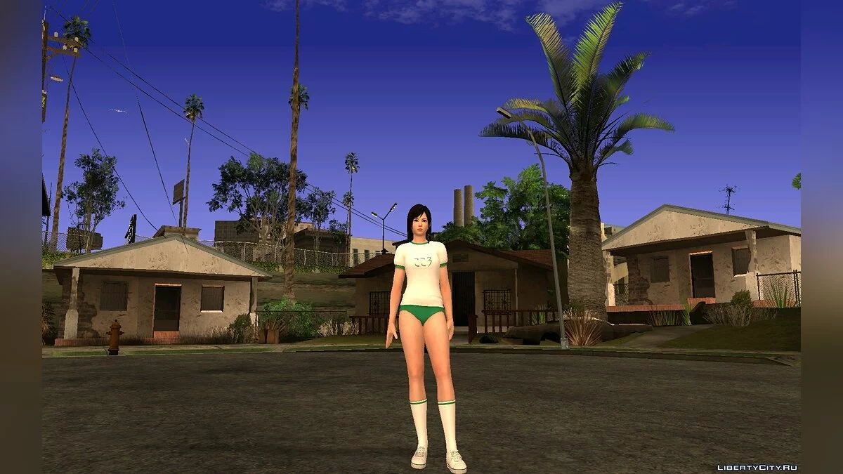 Kokoro Gym Pack / GTA San Andreas