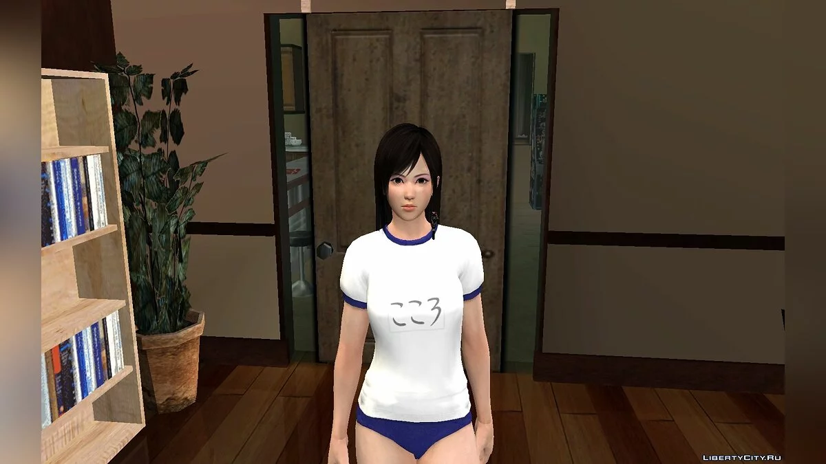 Kokoro Gym Pack / GTA San Andreas